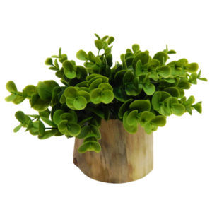 Project Allen Designs Friday favorites!