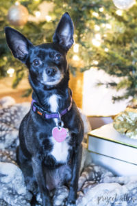 Modern Glam Christmas tree with gold ornaments, brass tree collar, glittered magnolia leaves and white and gold Christmas gifts tadd the perfect touch to these custom built-ins.
