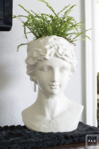Fiddle Leaf Fig Care. Fiddle leaf fig watering instructions, Keep fiddle leaf fig alive
