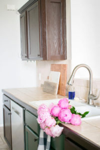 Our Kitchen Renovation Plans