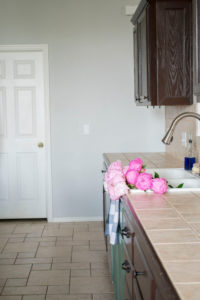 Our Kitchen Renovation Plans