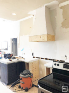 Kitchen Renovation Chronicles